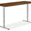 Aedric 60w 30d 23-49h Adjustable Standing Desk