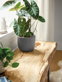 Chilton 60w 15-17d 16h Bench -Furniture Discount Shop chilton 445958 19e