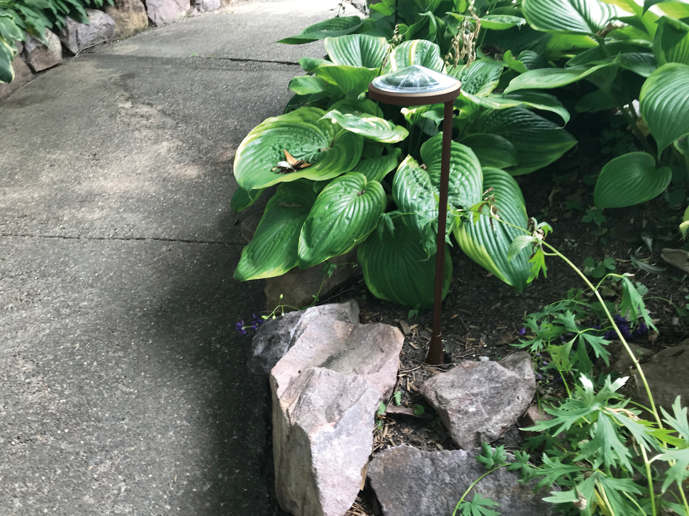 Hayward 22h Solar Light 10 Hayward 22h Solar Light - Image 8