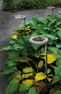 Hayward 22h Solar Light 16 Hayward 22h Solar Light -Furniture Discount Shop hayward 451630 20e1