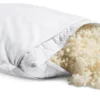 Wool Pillow Wool Standard Bed Pillow With Protector