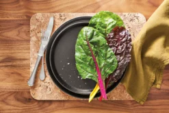 Notos 11 Diam Dinner Plate 20 Notos 11 Diam Dinner Plate -Furniture Discount Shop notos 618509 22e