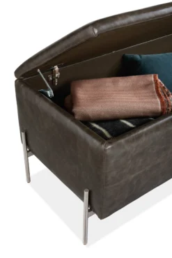 Paxton 54w 20d 18h Storage Bench