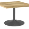 Aria 36w 36d Square Table -Furniture Discount Shop roomandboard 364