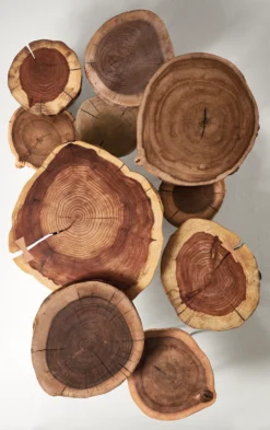 Wellington 12-16 Diam 22h End Table